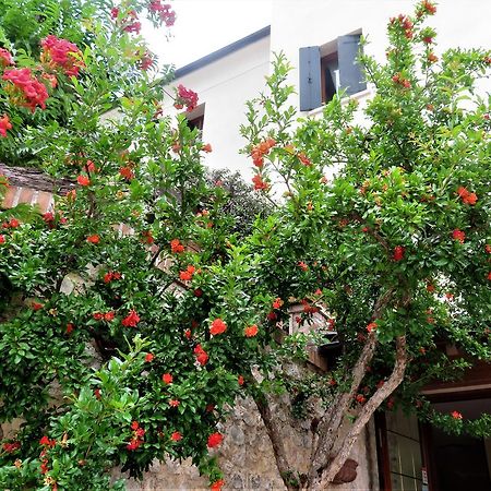 Locanda Alla Posta Borso del Grappa Extérieur photo