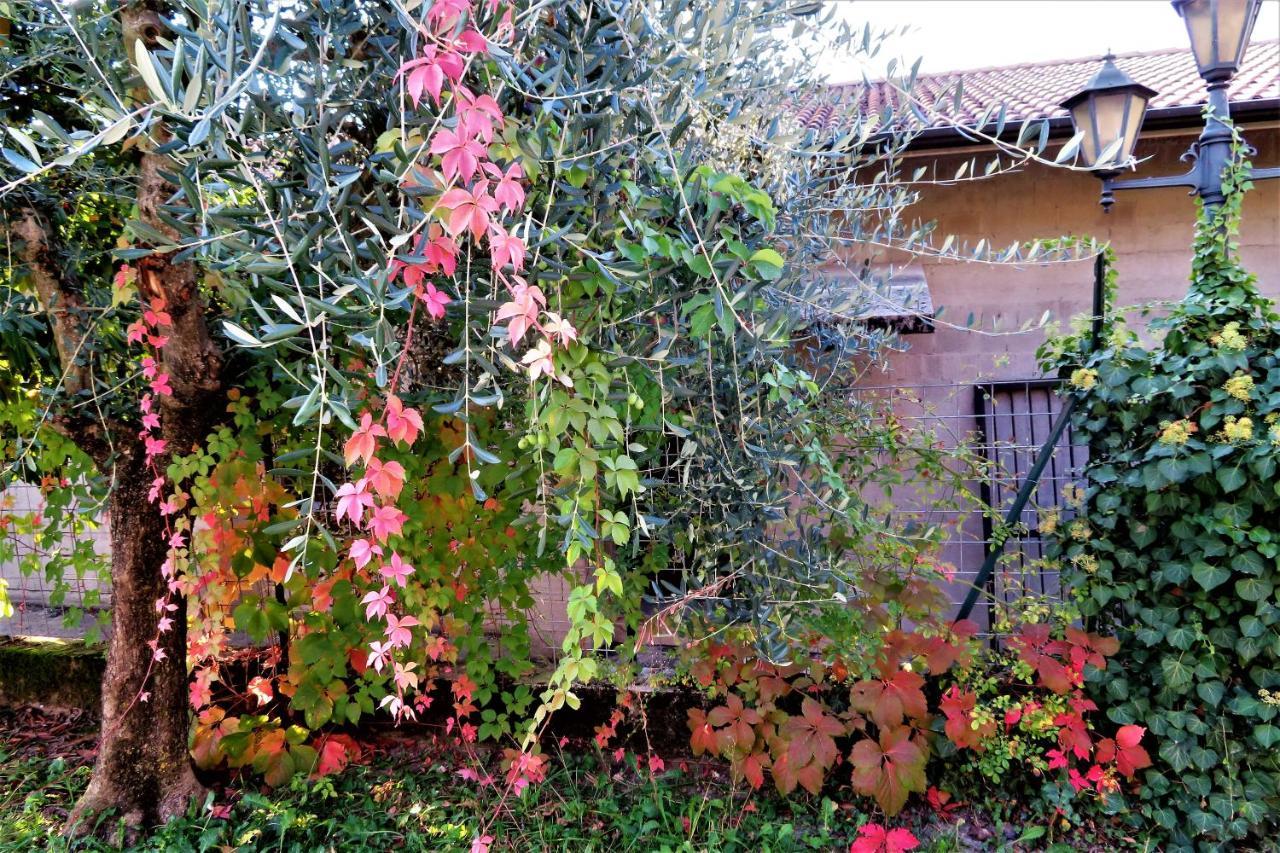 Locanda Alla Posta Borso del Grappa Extérieur photo